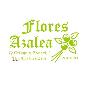 Flores Azalea